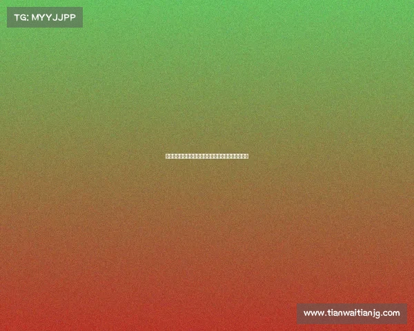 探索何塞赛事分类核心机制及其全球体育赛事实践价值